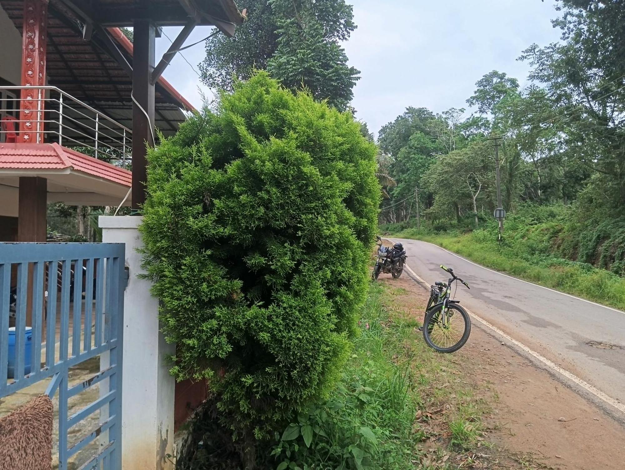 Elephant Path Coorg 3Bhk Villa Suntikoppa Ngoại thất bức ảnh
