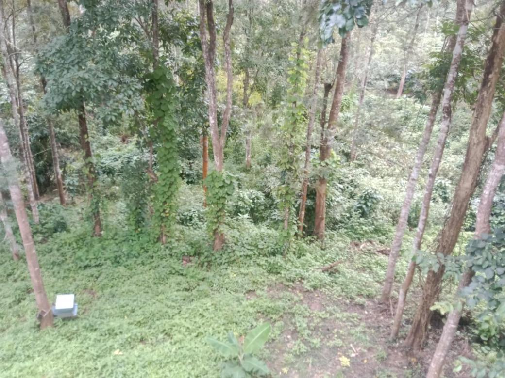 Elephant Path Coorg 3Bhk Villa Suntikoppa Ngoại thất bức ảnh